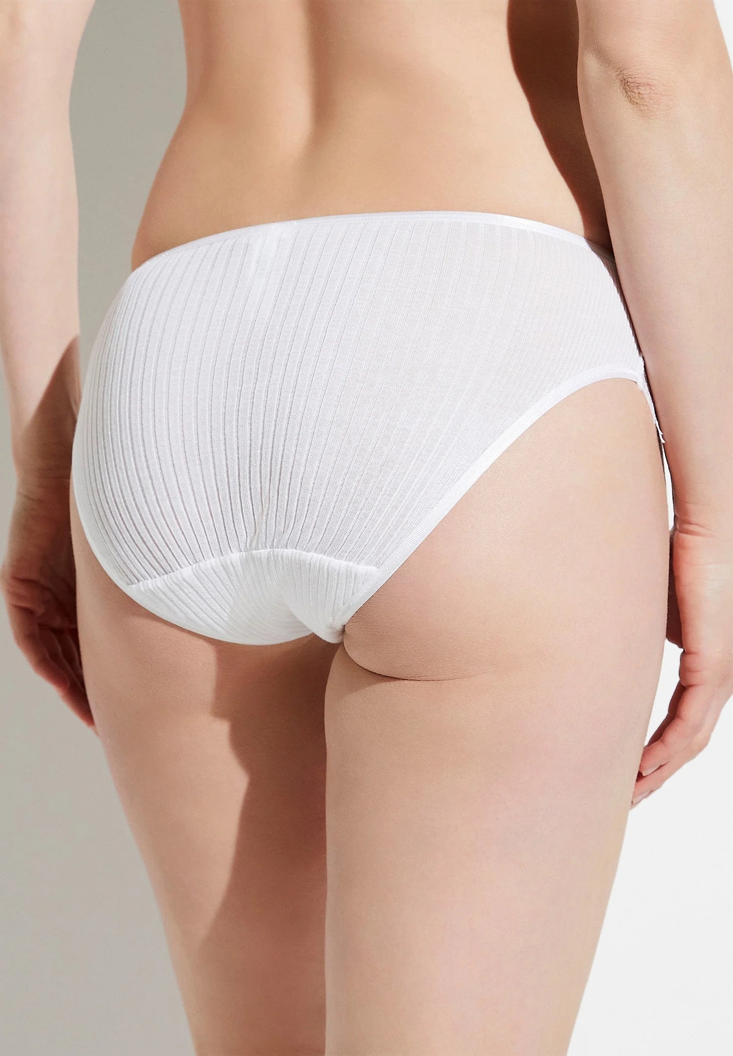 %shop_name_% Zimmerli_Richelieu Cotton Lace Brief _ Underwear_